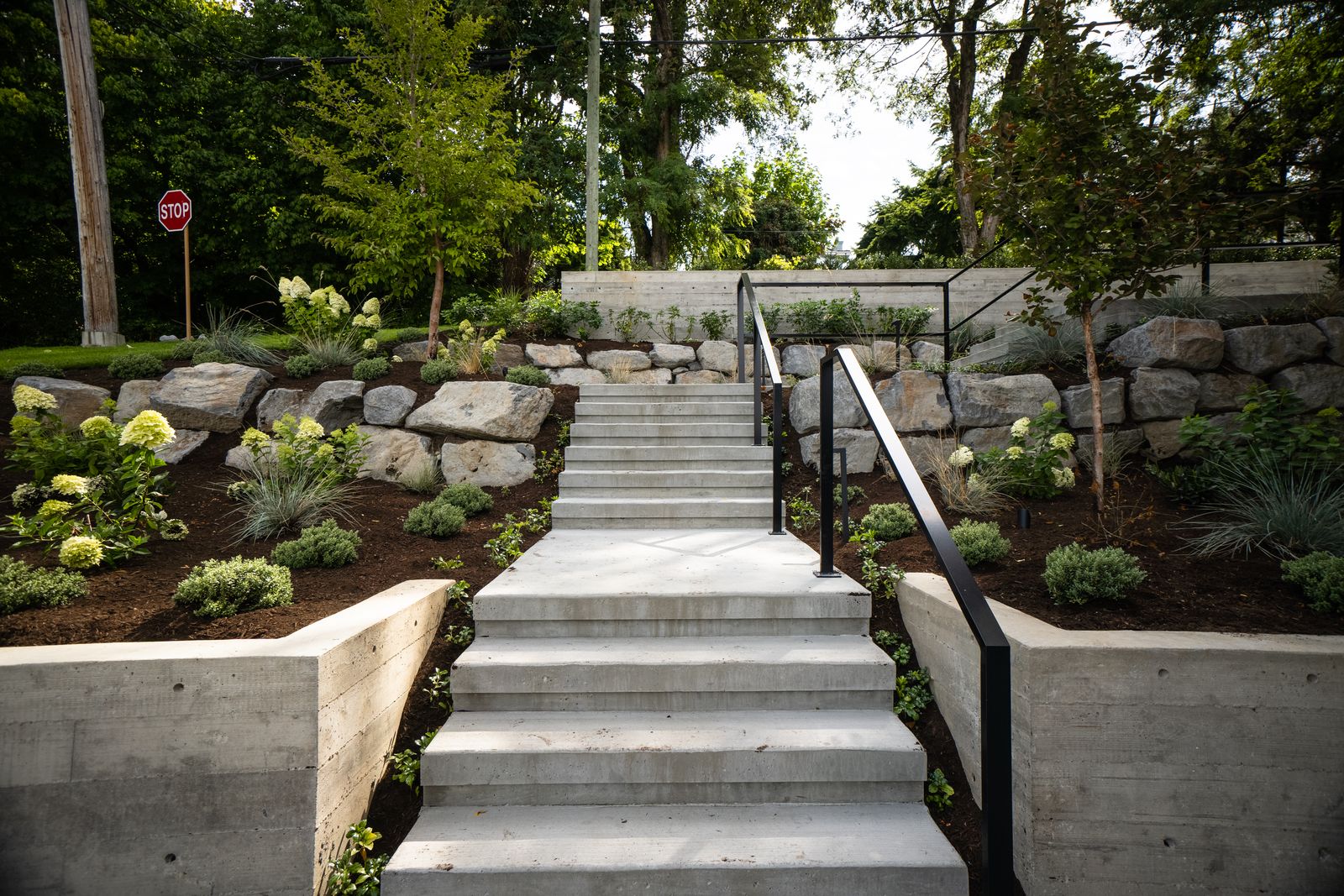 Board-form concrete retaining walls with wide stairs, boulders and planting
