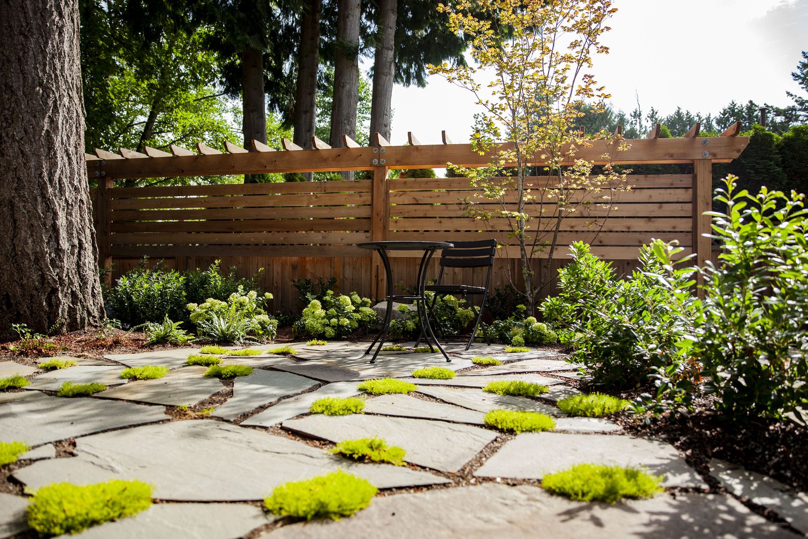 Flagstone and moss patio under tall trees